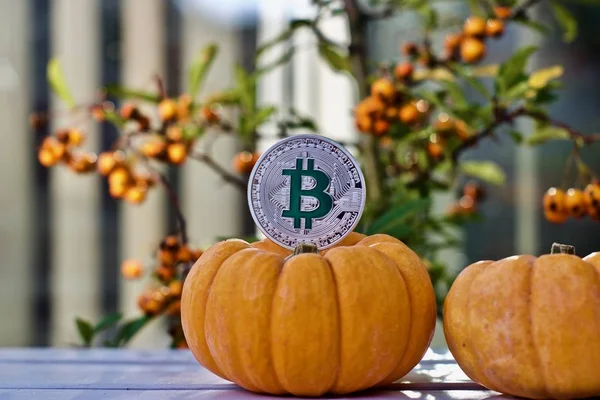 Digital currency physical metal bitcoin coin. Halloween cryptocurrency concept.