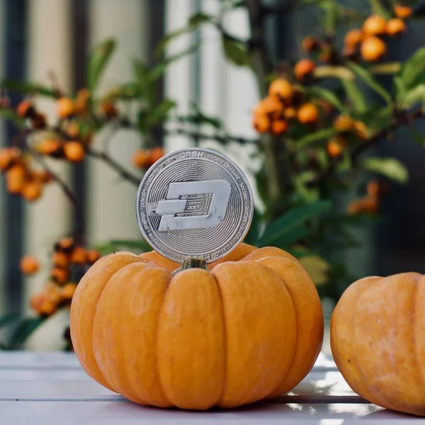 Digital currency physical metal silver dashcoin coin. Halloween cryptocurrency concept.