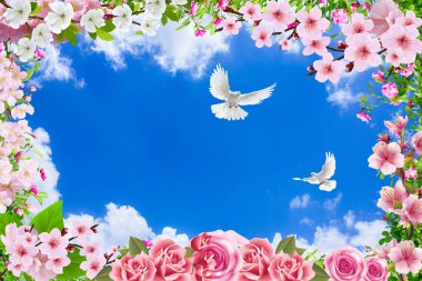 Gökyüzü çiçekleri ile görünümünü