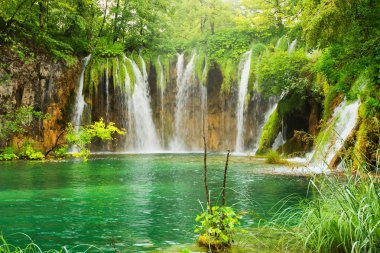 Şelale. Şelaleler manzaralar. Plitvice Milli Parkı