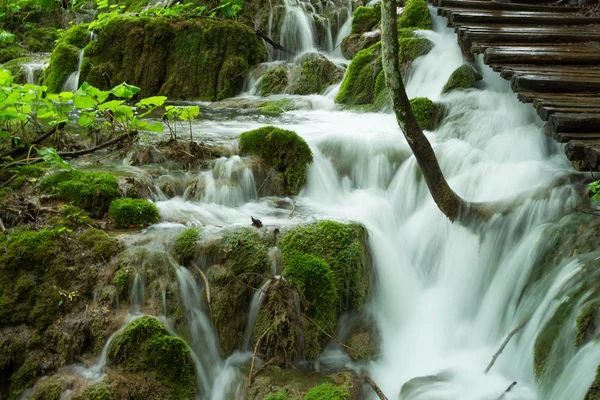 Pequena Queda Água Floresta Pequeno Rio Parque Nacional Plitvice — Fotografia de Stock