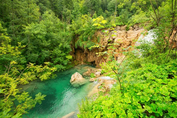 丘の近くの水域 森の中の水域水の中の木 プリトヴィツェ国立公園 — ストック写真