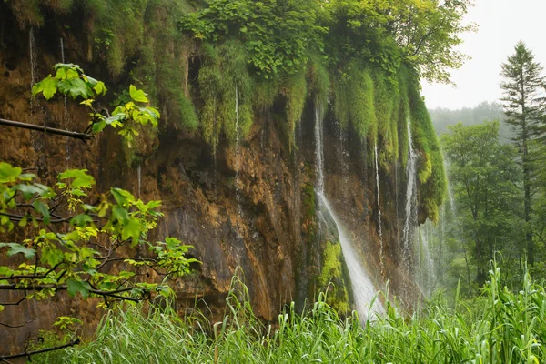 Vízesés Vízesések Tájak Plitvicei Nemzeti Park — Stock Fotó