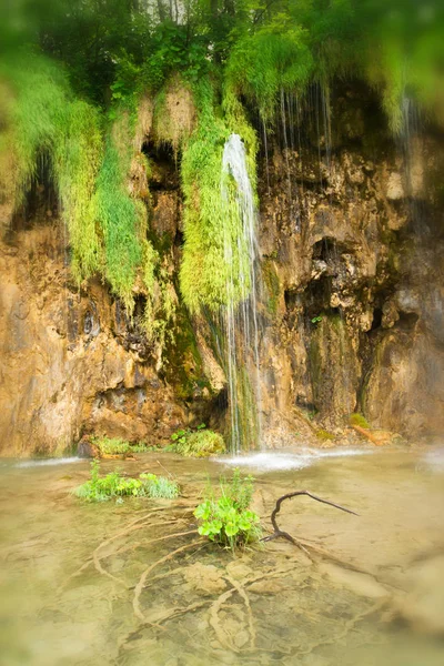 Cachoeira Cachoeira Rocha Parque Nacional Plitvice — Fotografia de Stock