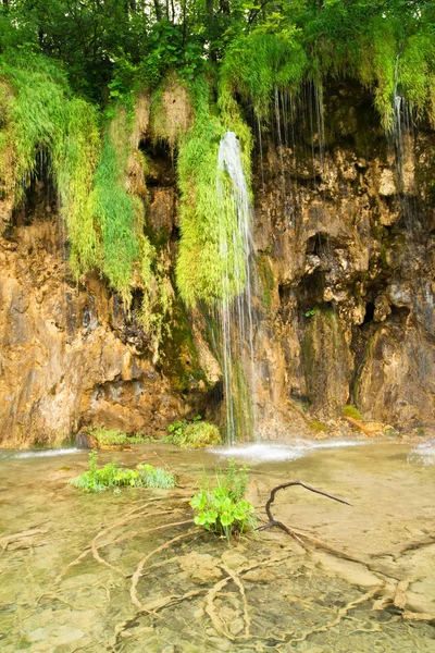 Vattenfall Vattenfall Från Klippan Plitvice Nationalpark — Stockfoto