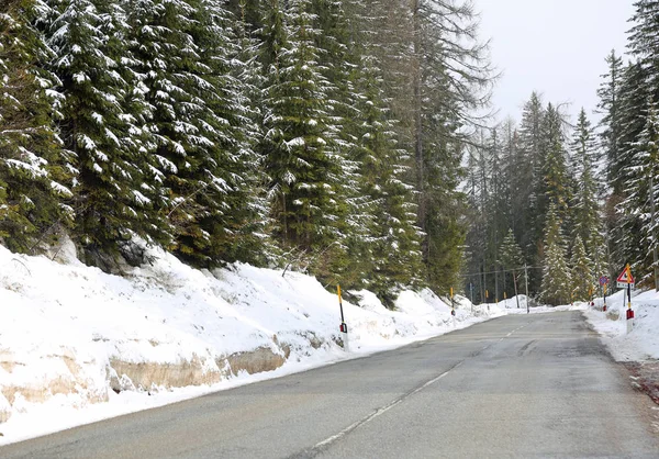 Estrada Congelada Montanha Com Abetos Pinheiros Neve Inverno — Fotografia de Stock