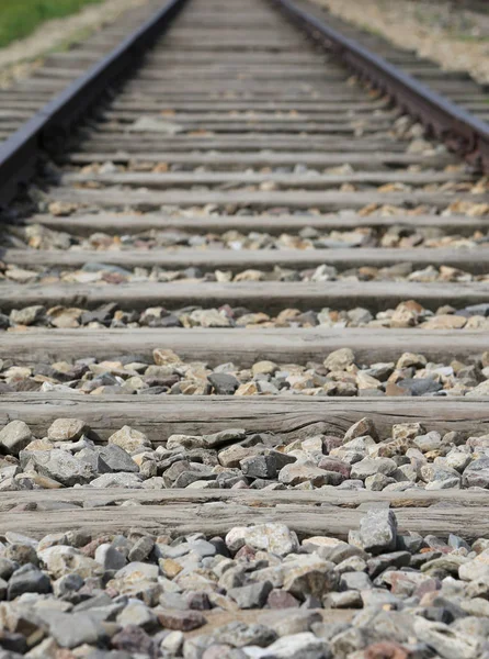Railroad Tracks Die Treinen Naar Het Concentratiekamp Auschwitz Vervoerd — Stockfoto