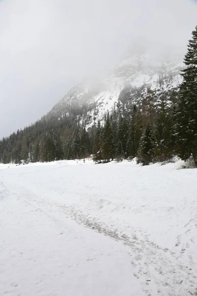 Pragser Wildsee Braies 湖与雪在南蒂罗尔意大利在冬天 — 图库照片