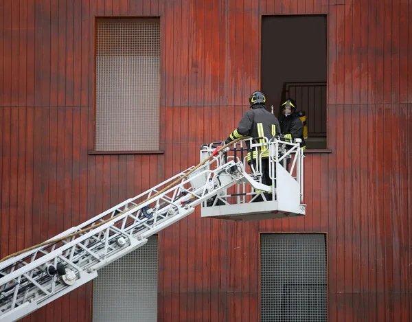 Dois Bombeiros Ação Durante Uma Prática Quartéis Incêndio — Fotografia de Stock