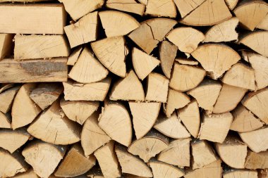 birçok kurutulmuş günlükleri ahşap arka plan