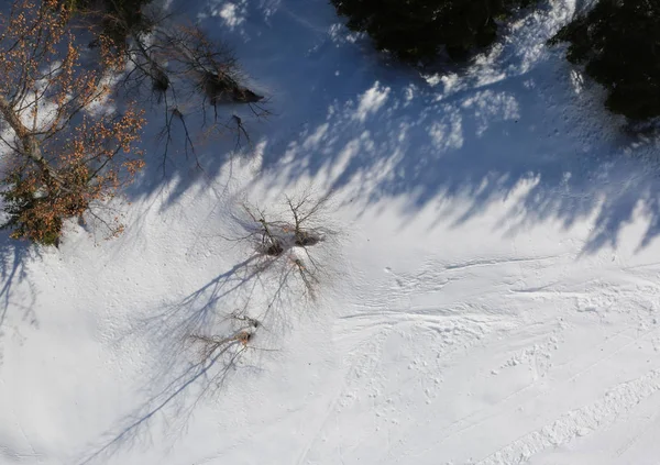 Vista Aérea Del Bosque Invierno — Foto de Stock