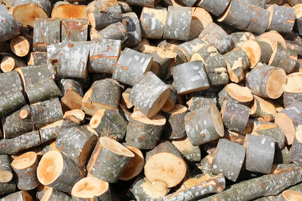 Background Wooden Logs Cutted Trunks — Stock Photo, Image