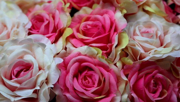 Розовые Белые Розы Желтыми Пятнами Корзине — стоковое фото