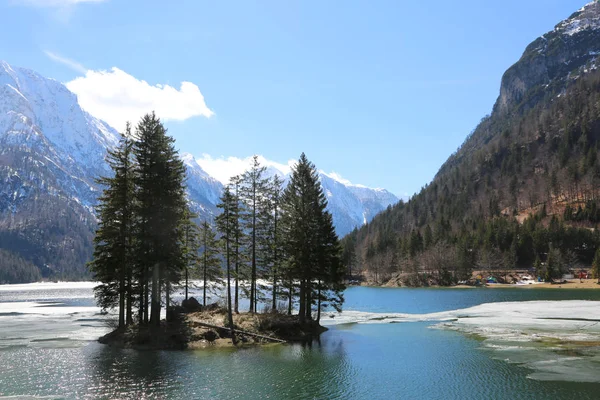 Wyspa Jodły Alpejskie Jezioro Nazwie Predil Del Lago Północnych Włoszech — Zdjęcie stockowe