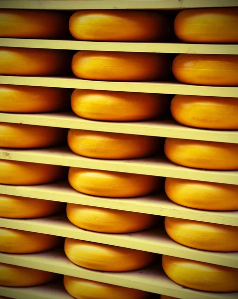 Cheese Ripening Dairy Mountain — Stock Photo, Image