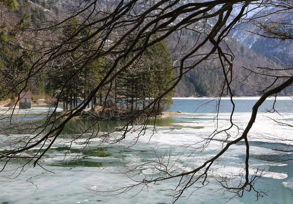 Ostrov Wtih Tree Iced Alpine Lake — стоковое фото