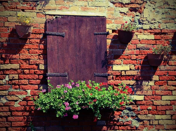 Paarse Rode Bloempot Buiten Het Balkon Van Een Bakstenen Huis — Stockfoto
