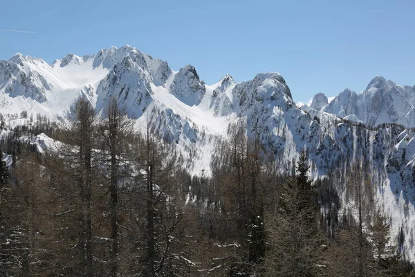 Zasněžené Vrcholky Karnských Alp Těžké Zimní Sněžení — Stock fotografie