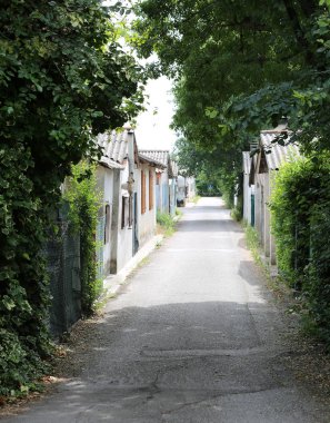 Küçük yol, ıssız adada bir eski balıkçı köyü evleri