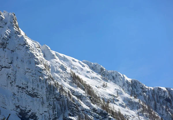 冬季白雪之山细节 — 图库照片