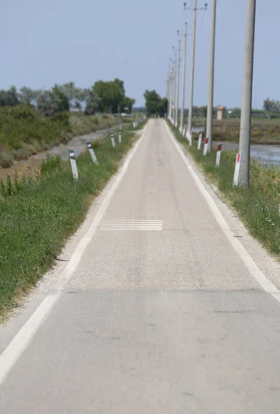 Longue Route Asphaltée Dans Plaine Été — Photo