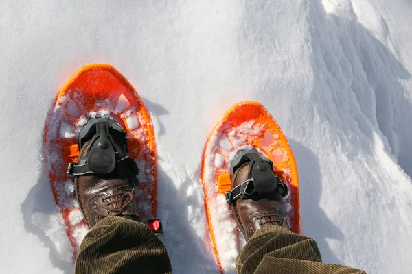 Two Orange Snowshoes Legs High Mountain Hiker Fresh White Snow — Stock Photo, Image