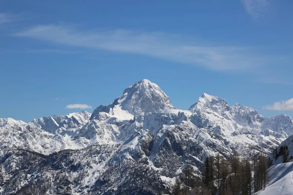 Высокие Горы Зимой Горы Луссари Итальянском Регионе Названием Фриули — стоковое фото