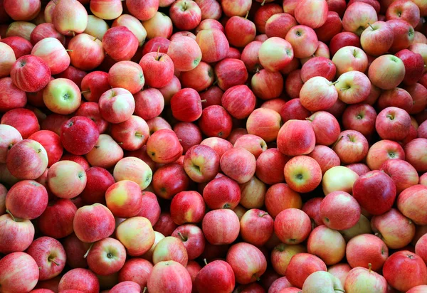 Background Many Red Ripe Apples — Stock Photo, Image