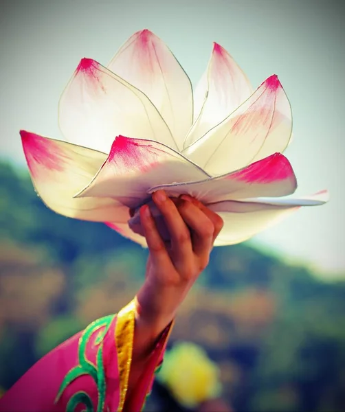 Flor Lótus Grande Apoiada Pelas Mãos Dançarina Feminina Com Efeito — Fotografia de Stock