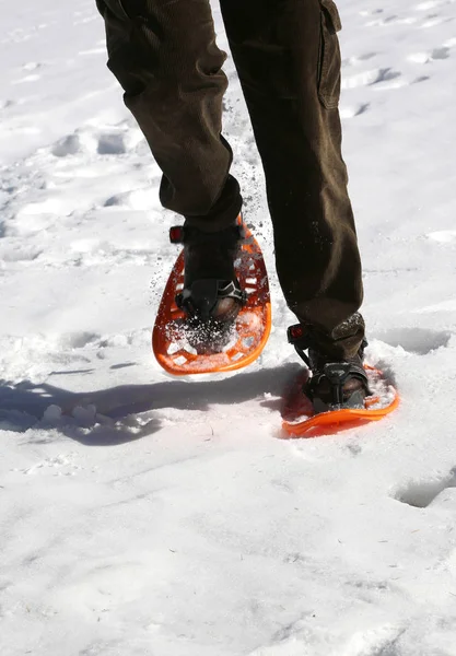 hiker with snowshoes and velvet pants walks on fresh mountain snow