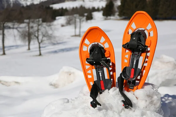 两个橙色的穿雪鞋在山上的雪在讨论后的冬天 — 图库照片