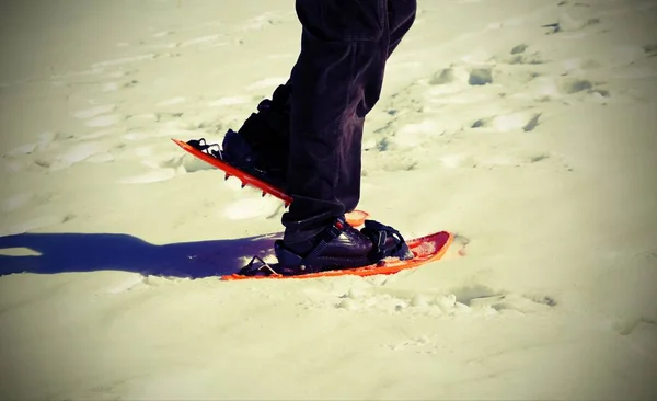 Kar Ayakkabıları Ile Talyan Dağlara Kar Üzerinde Yürüyen Adam — Stok fotoğraf