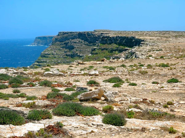 Landschaft Der Insel Lampedusa Mit Wenigen Pflanzen Mediterraner Vegetation — Stockfoto