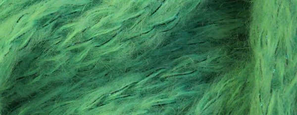 background of soft wool of sheep colored with a green dye to produce a dress