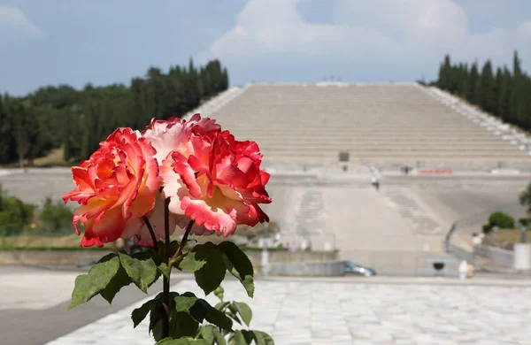 Redipuglia Italie Juin 2017 Roses Rouges Mémorial Guerre Redipuglia Est — Photo