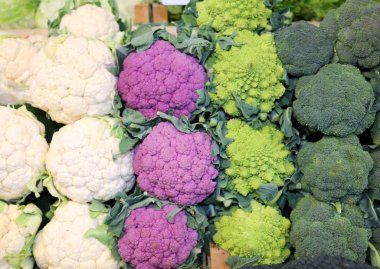 yeşil, beyaz ve mor çeşitleri itibariyle yerel pazar ahır Satılık başkanları lahana