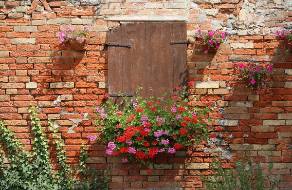 Stängda Fönster Och Blommor Krukor Och Rött Tegel Vägg — Stockfoto