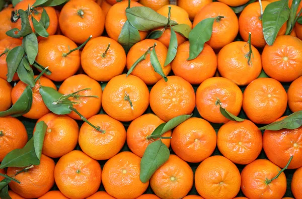 Background Small Sicilian Orange Mandarins Sale Fruit Market — Stock Photo, Image