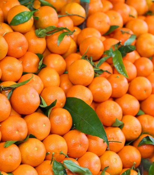 Background Orange Sicilian Clementines Green Leaves — Stock Photo, Image