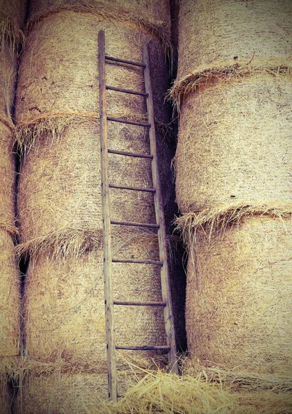 Wood Ladder Barn Farm — Stock Photo, Image
