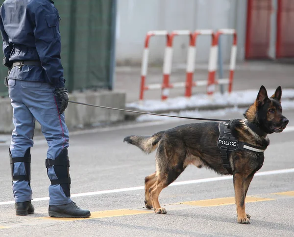Policejní Pes Textem Policie Policajt Uniformě Během Nepokojů Městě — Stock fotografie