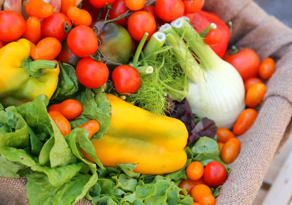 Rode Tomaten Venkel Meer Verse Groenten Koop — Stockfoto