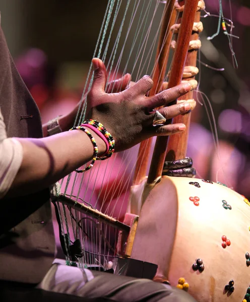 Young African Boy Plays Stringed Instrument Live Concert — Stock Photo, Image