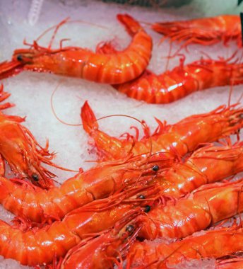 pek çok kırmızı kerevit veya mağaza satış için karides