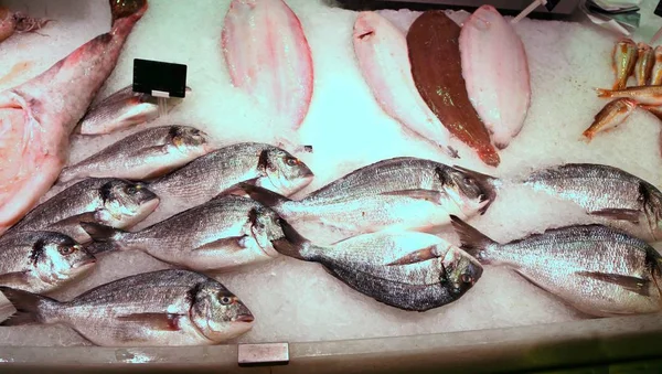 Many Sea Breams Sale Fishmongers — Stock Photo, Image