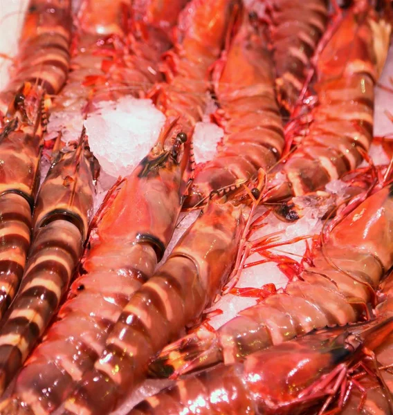 Många Röda Kräftdjur Säljes Fiskhandlare — Stockfoto