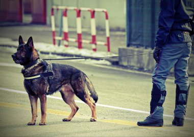 polis köpeği ve bir polis şehrin sokakta vintage etkisi ile