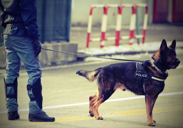 police dog with text POLICE and a policeman with vintage effect