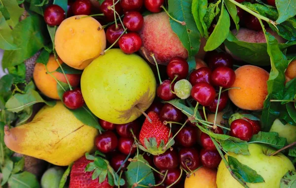 Abrikoos Appels Kersen Meer Vruchten Lokale Markt Voor Biologische Producten — Stockfoto