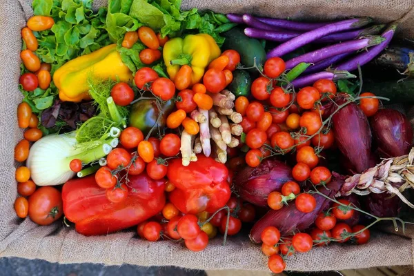 Biologische Verse Groenten Fruit Gewoon Harversted Koop Bij Lokale Markt — Stockfoto